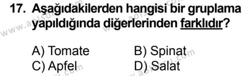 Almanca 4 Dersi 2016-2017 Yılı 2. Dönem Sınavı 17. Soru