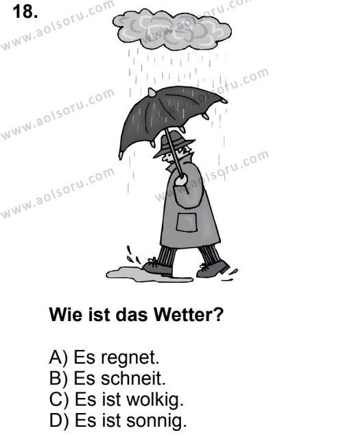 Almanca 6 Dersi 2014-2015 Yılı 1. Dönem Sınavı 18. Soru