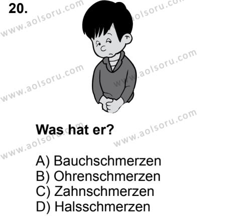 Almanca 7 Dersi 2013-2014 Yılı 3. Dönem Sınavı 20. Soru
