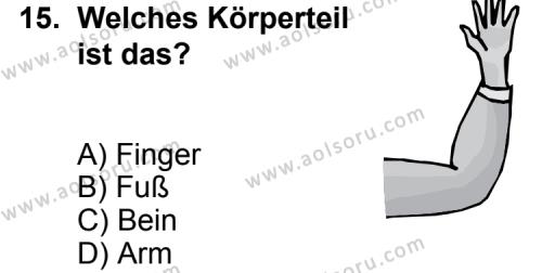Almanca 7 Dersi 2014-2015 Yılı 1. Dönem Sınavı 15. Soru