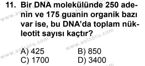Biyoloji 1 Dersi 2011-2012 Yılı 3. Dönem Sınavı 11. Soru