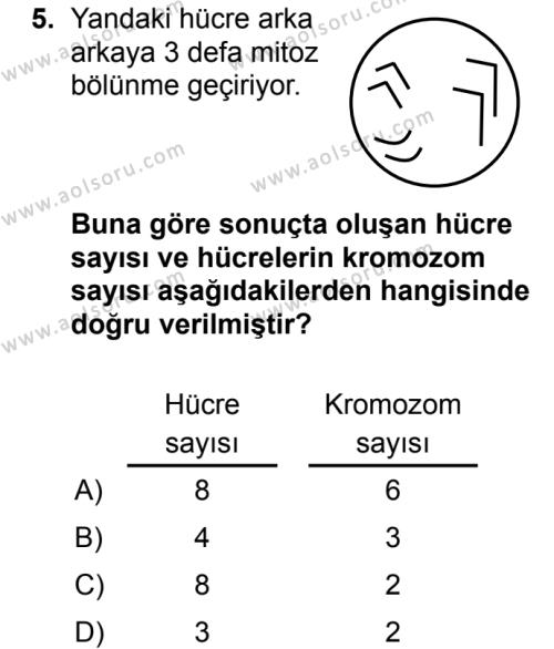 Biyoloji 3 Dersi 2016-2017 Yılı 1. Dönem Sınavı 5. Soru