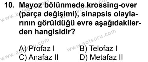 Biyoloji 3 Dersi 2018-2019 Yılı 1. Dönem Sınavı 10. Soru