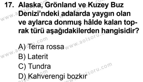 Coğrafya 3 Dersi 2019-2020 Yılı 2. Dönem Sınavı 17. Soru