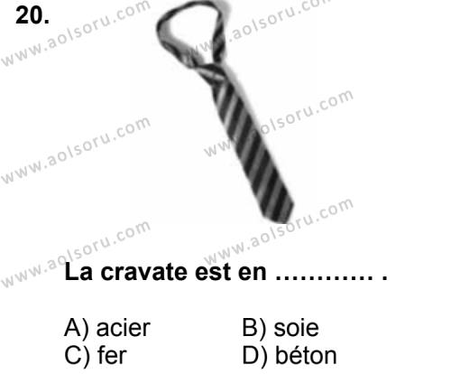 Fransızca 1 Dersi 2012-2013 Yılı 2. Dönem Sınavı 20. Soru