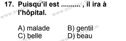 Fransızca 2 Dersi 2011-2012 Yılı 3. Dönem Sınavı 17. Soru