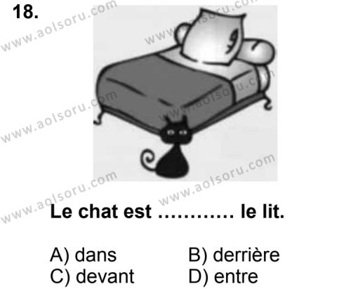 Fransızca 2 Dersi 2012-2013 Yılı 2. Dönem Sınavı 18. Soru