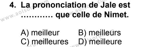 Fransızca 4 Dersi 2012 - 2013 Yılı 2. Dönem Sınav Soruları 4. Soru