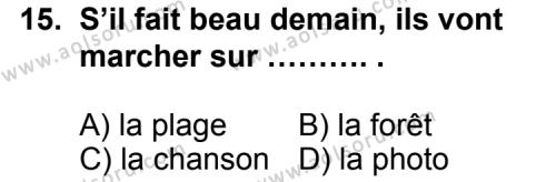 Fransızca 5 Dersi 2011-2012 Yılı 3. Dönem Sınavı 15. Soru