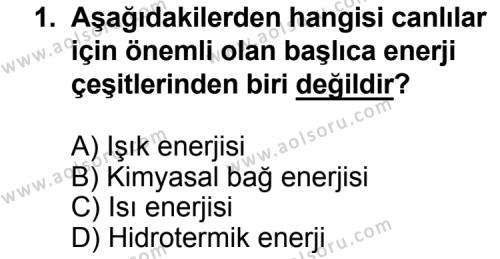 Seçmeli Biyoloji 3 Dersi 2015 - 2016 Yılı 3. Dönem Sınav Soruları 1. Soru