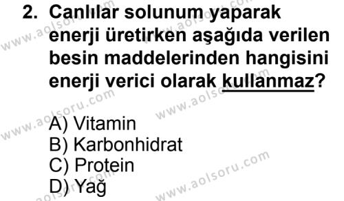 Seçmeli Biyoloji 3 Dersi 2015 - 2016 Yılı 3. Dönem Sınav Soruları 2. Soru