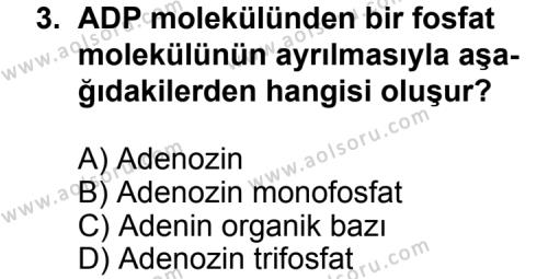 Seçmeli Biyoloji 3 Dersi 2015 - 2016 Yılı 3. Dönem Sınav Soruları 3. Soru