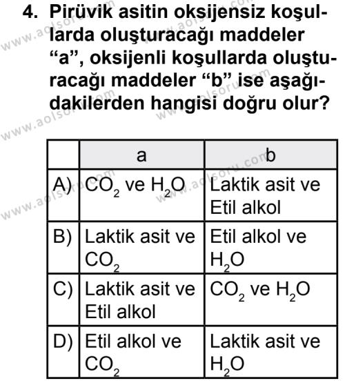 Seçmeli Biyoloji 3 Dersi 2015 - 2016 Yılı 3. Dönem Sınav Soruları 4. Soru