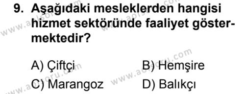 Seçmeli Coğrafya 3 Dersi 2019-2020 Yılı 1. Dönem Sınavı 9. Soru