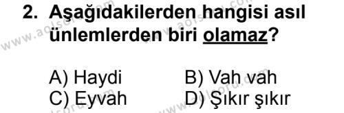 Seçmeli Dil ve Anlatım 4 Dersi 2011 - 2012 Yılı 1. Dönem Sınav Soruları 2. Soru