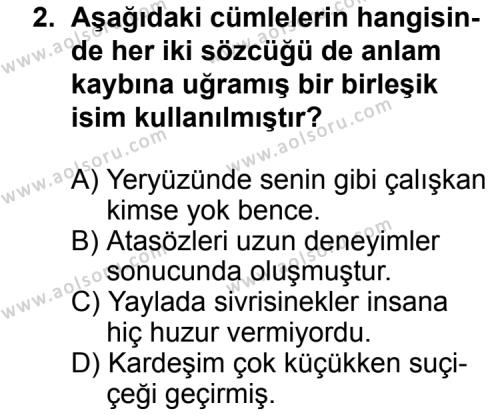 Seçmeli Dil ve Anlatım 4 Dersi 2015 - 2016 Yılı Ek Sınav Soruları 2. Soru