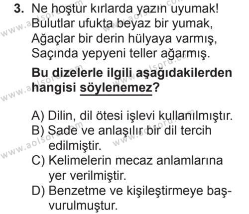 Seçmeli Türk Dili ve Edebiyatı 1 Dersi 2018-2019 Yılı 2. Dönem Sınavı 3. Soru