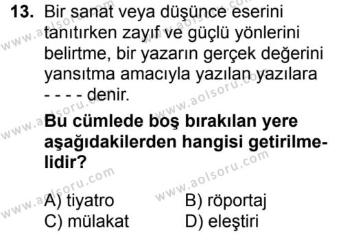 Seçmeli Türk Dili ve Edebiyatı 2 Dersi 2018-2019 Yılı 1. Dönem Sınavı 13. Soru