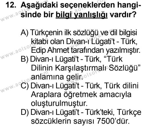 Seçmeli Türk Edebiyatı 4 Dersi 2013-2014 Yılı 3. Dönem Sınavı 12. Soru