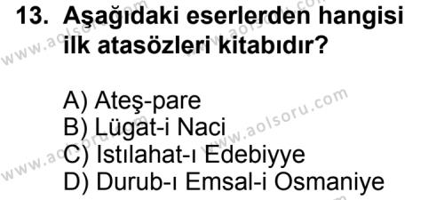 Seçmeli Türk Edebiyatı 5 Dersi 2012-2013 Yılı 1. Dönem Sınavı 13. Soru