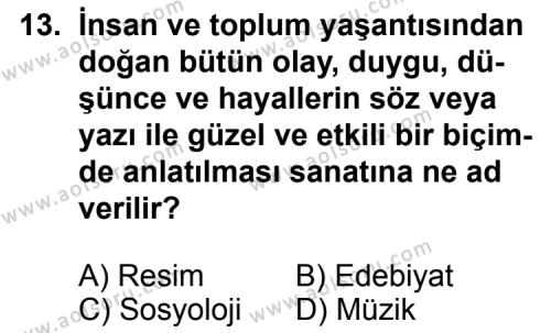 Seçmeli Türk Edebiyatı 5 Dersi 2012-2013 Yılı 2. Dönem Sınavı 13. Soru