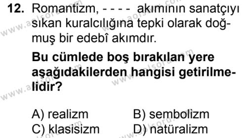 Seçmeli Türk Edebiyatı 5 Dersi 2016-2017 Yılı 1. Dönem Sınavı 12. Soru