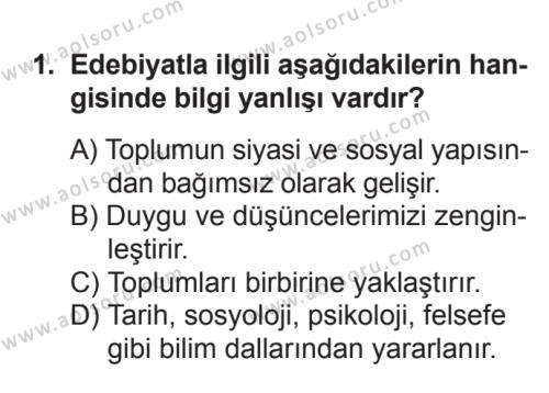 Seçmeli Türk Edebiyatı 5 Dersi 2016 - 2017 Yılı Ek Sınav Soruları 1. Soru