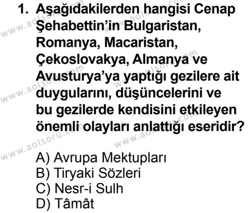 Seçmeli Türk Edebiyatı 6 Dersi 2012 - 2013 Yılı 1. Dönem Sınav Soruları 1. Soru