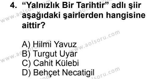 Seçmeli Türk Edebiyatı 8 Dersi 2012 - 2013 Yılı 2. Dönem Sınav Soruları 4. Soru