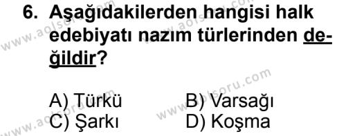 Seçmeli Türk Edebiyatı 8 Dersi 2012-2013 Yılı 2. Dönem Sınavı 6. Soru