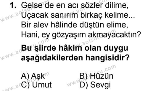 Seçmeli Türk Edebiyatı 8 Dersi 2014 - 2015 Yılı 2. Dönem Sınav Soruları 1. Soru