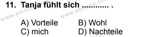 Seçmeli Yabancı Dil Almanca 7 Dersi 2012-2013 Yılı 2. Dönem Sınavı 11. Soru