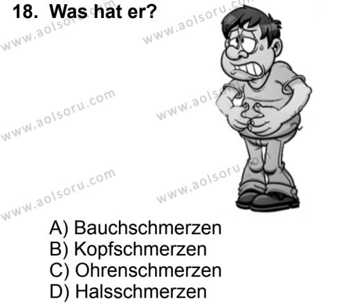Seçmeli Yabancı Dil Almanca 7 Dersi 2013-2014 Yılı 1. Dönem Sınavı 18. Soru