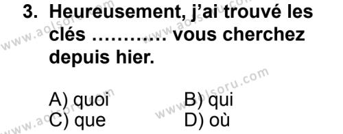 Seçmeli Yabancı Dil Fransızca 3 Dersi 2012 - 2013 Yılı 2. Dönem Sınav Soruları 3. Soru