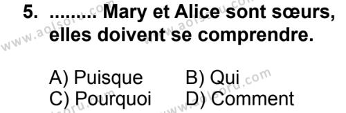Seçmeli Yabancı Dil Fransızca 3 Dersi 2013-2014 Yılı 1. Dönem Sınavı 5. Soru