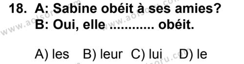 Seçmeli Yabancı Dil Fransızca 3 Dersi 2013-2014 Yılı 3. Dönem Sınavı 18. Soru