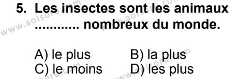 Seçmeli Yabancı Dil Fransızca 4 Dersi 2012-2013 Yılı 3. Dönem Sınavı 5. Soru