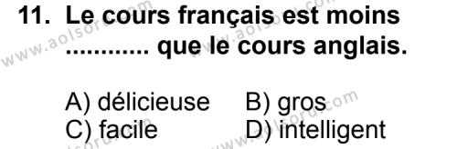 Seçmeli Yabancı Dil Fransızca 4 Dersi 2012-2013 Yılı 3. Dönem Sınavı 11. Soru