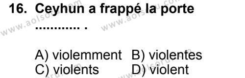 Seçmeli Yabancı Dil Fransızca 4 Dersi 2013-2014 Yılı 1. Dönem Sınavı 16. Soru