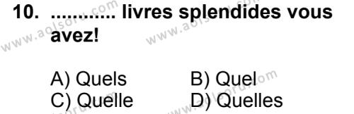 Seçmeli Yabancı Dil Fransızca 4 Dersi 2013-2014 Yılı 2. Dönem Sınavı 10. Soru