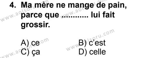 Seçmeli Yabancı Dil Fransızca 4 Dersi 2013 - 2014 Yılı 3. Dönem Sınav Soruları 4. Soru