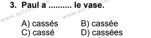 Seçmeli Yabancı Dil Fransızca 6 Dersi 2011 - 2012 Yılı Ek Sınav Soruları 3. Soru