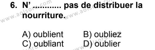 Seçmeli Yabancı Dil Fransızca 8 Dersi 2012-2013 Yılı 3. Dönem Sınavı 6. Soru