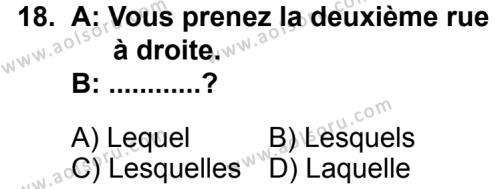 Seçmeli Yabancı Dil Fransızca 8 Dersi 2013-2014 Yılı 2. Dönem Sınavı 18. Soru