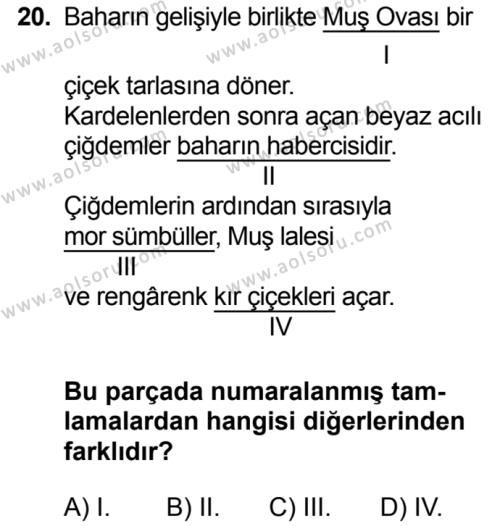 Türk Dili ve Edebiyatı 1 Dersi 2016-2017 Yılı 3. Dönem Sınavı 20. Soru