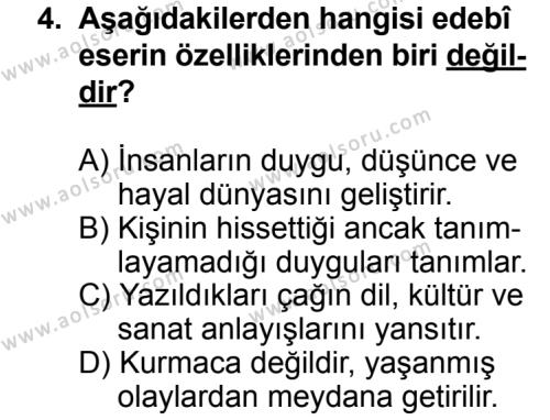 Türk Edebiyatı 1 Dersi 2013 - 2014 Yılı 3. Dönem Sınav Soruları 4. Soru