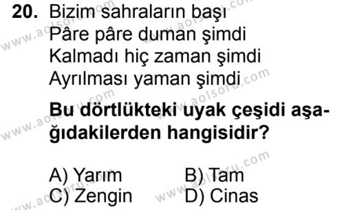 Türk Edebiyatı 1 Dersi 2014-2015 Yılı 2. Dönem Sınavı 20. Soru