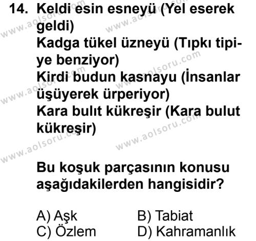 Türk Edebiyatı 3 Dersi 2012-2013 Yılı 1. Dönem Sınavı 14. Soru
