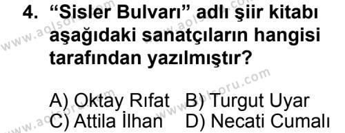Türk Edebiyatı 7 Dersi 2012 - 2013 Yılı 2. Dönem Sınav Soruları 4. Soru