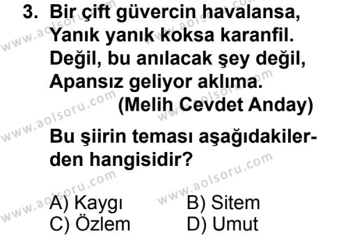 Türk Edebiyatı 8 Dersi 2011 - 2012 Yılı 3. Dönem Sınav Soruları 3. Soru